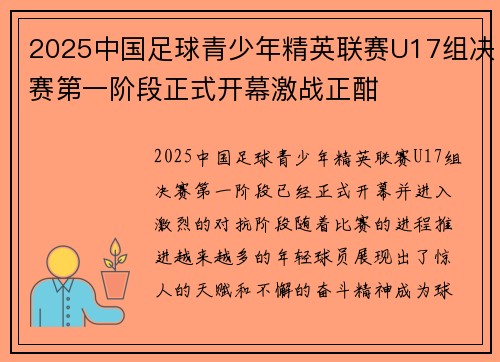 2025中国足球青少年精英联赛U17组决赛第一阶段正式开幕激战正酣