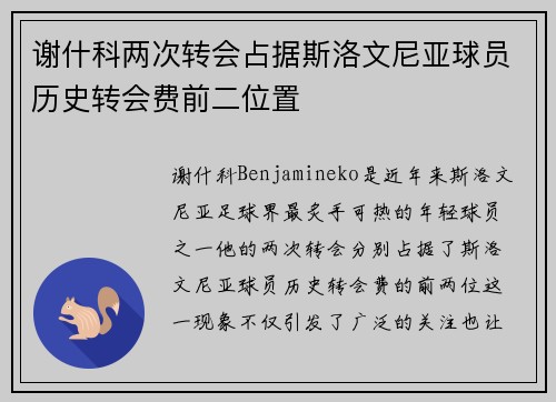 谢什科两次转会占据斯洛文尼亚球员历史转会费前二位置